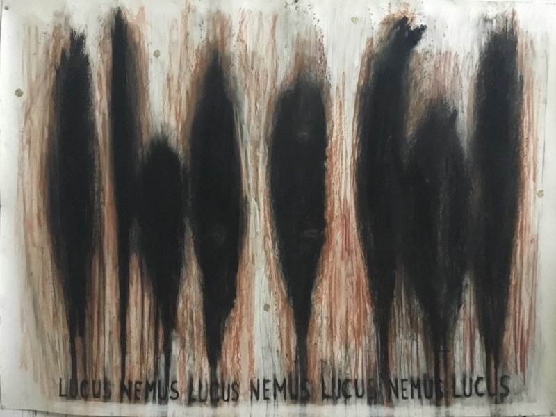 LUCUS NEMUS 112 x 93cm pigments sur papier